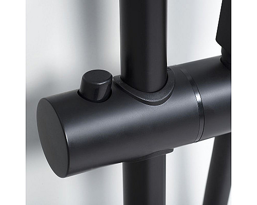 Заказать Душевая система WasserKRAFT A29901 с термостатом Черная матовая в магазине сантехники Santeh-Crystal.ru