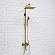 Приобрести Душевая система WasserKRAFT A171.256.207.PG Золото глянцевое в магазине сантехники Santeh-Crystal.ru