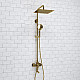 Заказать Душевая система WasserKRAFT A171.261.207.PG Золото глянцевое в магазине сантехники Santeh-Crystal.ru