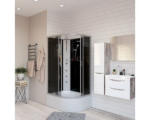 Купить Душевая кабина Niagara Classic 120x80 L NG-2510-14LBKTG с гидромассажем в магазине сантехники Santeh-Crystal.ru