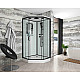 Заказать Душевая кабина Niagara Premium 100x100 NG-6902-01D Black без гидромассажа в магазине сантехники Santeh-Crystal.ru