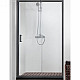 Купить Душевая дверь Aquatek 100 AQ ARI RA 10020BL профиль Черный стекло прозрачное в магазине сантехники Santeh-Crystal.ru