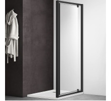 Душевая дверь Aquatek 100 AQ ARI PI 10020BL профиль Черный стекло прозрачное