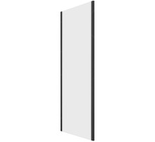 Душевая стенка RGW Z-050-2-B 100 352205200-24 профиль Черный стекло матовое-сатинат