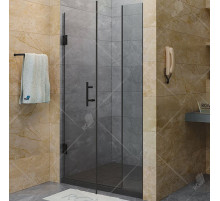 Душевая дверь RGW Hotel HO-012-B 350601200-14 профиль Черный стекло прозрачное