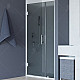 Купить Душевая дверь RGW Hotel HO-012 120 350601212-31 профиль Хром стекло тонированное в магазине сантехники Santeh-Crystal.ru