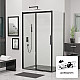 Заказать Душевой уголок RGW Leipzig LE-41B 120x80 34124182-014 профиль Черный стекло прозрачное в магазине сантехники Santeh-Crystal.ru