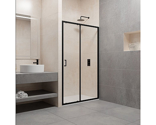 Заказать Душевая дверь RGW Passage PA-14 B 120 41081412-14 профиль Черный стекло прозрачное в магазине сантехники Santeh-Crystal.ru