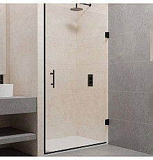 Душевая дверь RGW Passage PA-06 B 80 41080608-14 профиль Черный стекло прозрачное