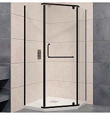 Душевой уголок RGW Passage PA-081B 100x100 35088100-14 профиль Черный стекло прозрачное