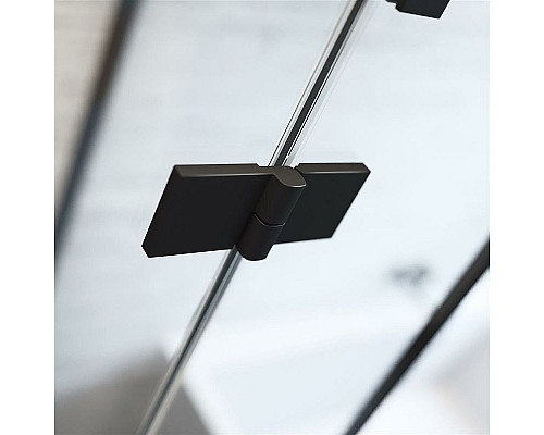 Заказать Душевая дверь Radaway Essenza New PTJ 60 R 385010-54-01R профиль Черный стекло прозрачное в магазине сантехники Santeh-Crystal.ru