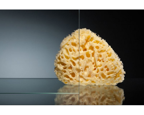 Купить Душевой уголок Radomir 100x90 1-09-1-0-0-1210 профиль Белый стекло прозрачное в магазине сантехники Santeh-Crystal.ru