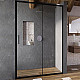 Заказать Душевая дверь Ravak Blix Slim BLSDP2-110 X0PMD0300Z1 профиль Черный матовый стекло Transparent в магазине сантехники Santeh-Crystal.ru