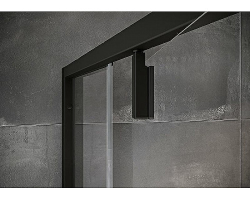 Купить Душевая дверь Ravak Nexty NDOP2-120 03OG0300Z1 профиль Черный стекло Transparent в магазине сантехники Santeh-Crystal.ru