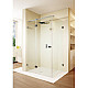 Заказать Душевой уголок Riho SZ Scandic NXT Х203 137х87 L G001069120 (GX09024C1) профиль Хром стекло прозрачное в магазине сантехники Santeh-Crystal.ru