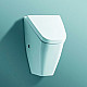 Купить Писсуар Laufen Vila 8.4114.1 без крышки в магазине сантехники Santeh-Crystal.ru