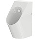 Заказать Писсуар Toto Public UWN926EBS#XW подвесной Белый в магазине сантехники Santeh-Crystal.ru