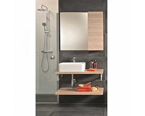 Приобрести Раковина-чаша Roca Mila 50 32700B000 Белая в магазине сантехники Santeh-Crystal.ru