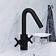 Приобрести Смеситель для раковины Damixa RedBlu Neo Classic 240210000 Черный в магазине сантехники Santeh-Crystal.ru