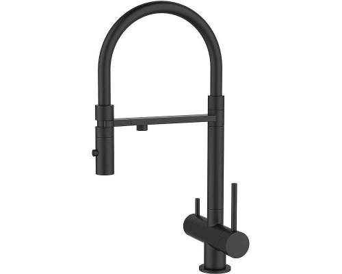 Заказать Смеситель для кухни Iddis Ace ACEBLFFi05 Черный матовый в магазине сантехники Santeh-Crystal.ru