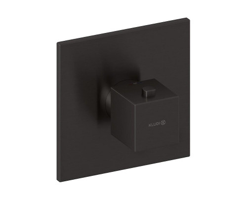 Смеситель для душа Kludi Decus 54739N275 цвет Оружейная сталь