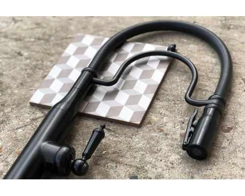 Купить Смеситель для кухни Paini Botticelli 64PZ557BKM Черный матовый в магазине сантехники Santeh-Crystal.ru