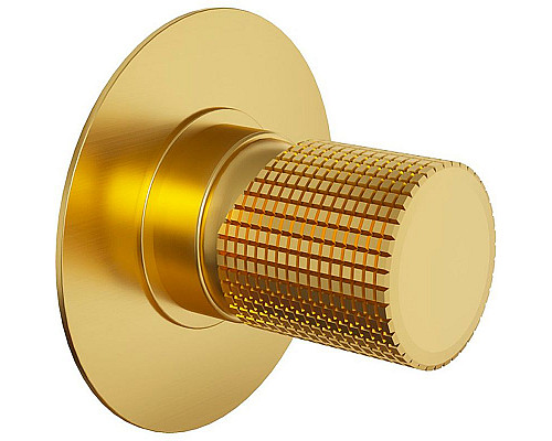 Приобрести Смеситель для душа Paini Cox Grip 7GPJ690 Золото матовое в магазине сантехники Santeh-Crystal.ru