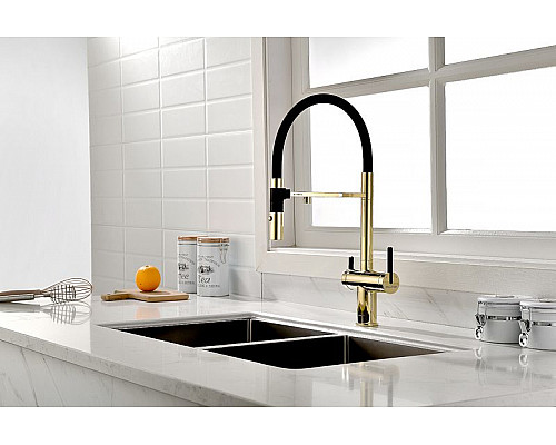 Santeh-Crystal.ru: Смеситель для кухни Paulmark Gravity Gr213188-G Золото Черный Купить Смеситель для кухни Paulmark Gravity Gr213188-G Золото Черный в магазине сантехники Santeh-Crystal.ru