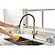 Купить Смеситель для кухни Paulmark Gravity Gr213188-G Золото Черный в магазине сантехники Santeh-Crystal.ru