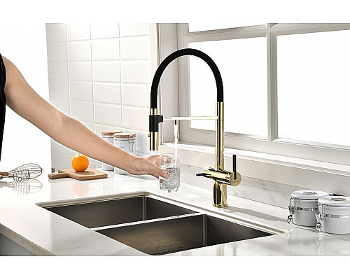 Santeh-Crystal.ru: Смеситель для кухни Paulmark Gravity Gr213188-G Золото Черный Купить Смеситель для кухни Paulmark Gravity Gr213188-G Золото Черный в магазине сантехники Santeh-Crystal.ru