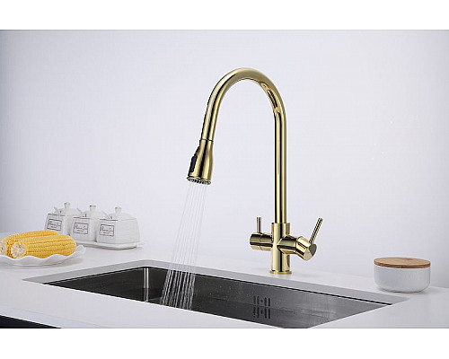 Купить Смеситель для кухни Paulmark Lange La214212-G Золото в магазине сантехники Santeh-Crystal.ru