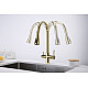 Купить Смеситель для кухни Paulmark Lange La214212-G Золото в магазине сантехники Santeh-Crystal.ru