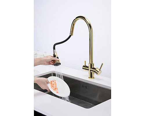 Купить Смеситель для кухни Paulmark Lange La214212-G Золото в магазине сантехники Santeh-Crystal.ru