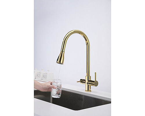 Купить Смеситель для кухни Paulmark Lange La214212-G Золото в магазине сантехники Santeh-Crystal.ru