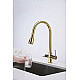 Купить Смеситель для кухни Paulmark Lange La214212-G Золото в магазине сантехники Santeh-Crystal.ru