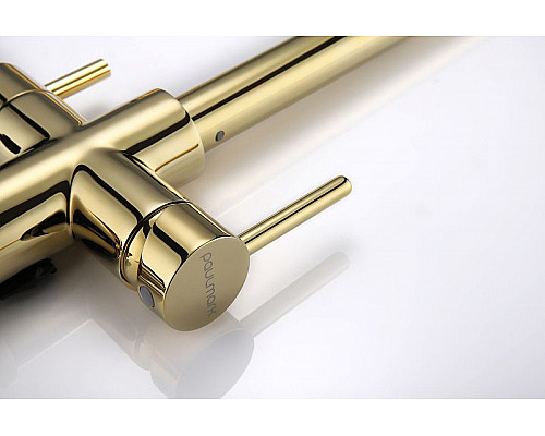 Купить Смеситель для кухни Paulmark Lange La214212-G Золото в магазине сантехники Santeh-Crystal.ru