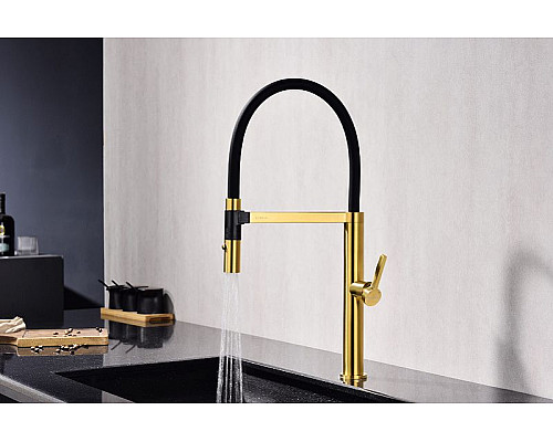 Приобрести Смеситель для кухни Paulmark Leader Le214101-BG Брашированное золото в магазине сантехники Santeh-Crystal.ru