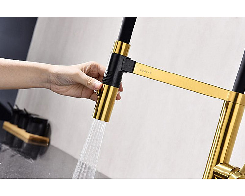 Приобрести Смеситель для кухни Paulmark Leader Le214101-BG Брашированное золото в магазине сантехники Santeh-Crystal.ru