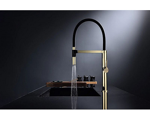 Заказать Смеситель для кухни Paulmark Leader Le214101-G Золото в магазине сантехники Santeh-Crystal.ru