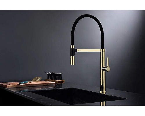 Заказать Смеситель для кухни Paulmark Leader Le214101-G Золото в магазине сантехники Santeh-Crystal.ru