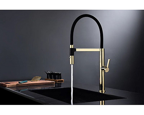 Заказать Смеситель для кухни Paulmark Leader Le214101-G Золото в магазине сантехники Santeh-Crystal.ru
