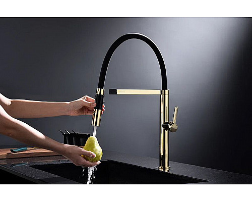 Заказать Смеситель для кухни Paulmark Leader Le214101-G Золото в магазине сантехники Santeh-Crystal.ru