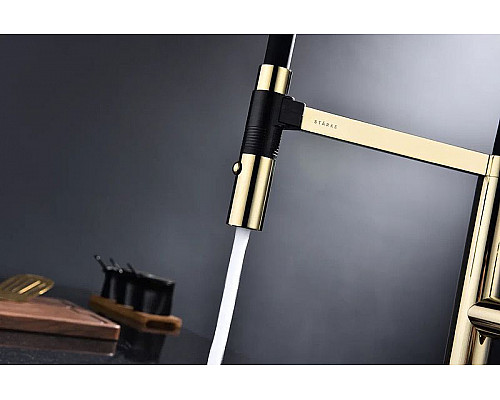 Заказать Смеситель для кухни Paulmark Leader Le214101-G Золото в магазине сантехники Santeh-Crystal.ru