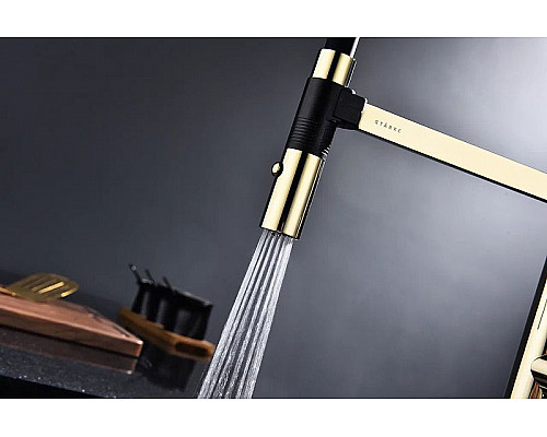 Заказать Смеситель для кухни Paulmark Leader Le214101-G Золото в магазине сантехники Santeh-Crystal.ru