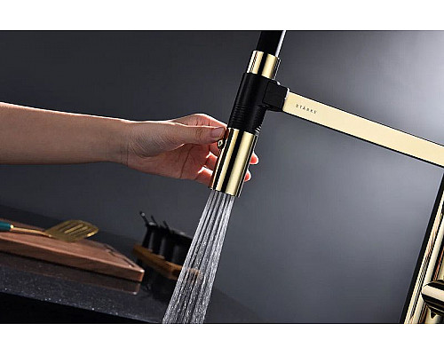 Заказать Смеситель для кухни Paulmark Leader Le214101-G Золото в магазине сантехники Santeh-Crystal.ru