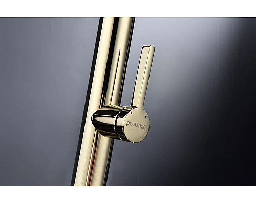 Заказать Смеситель для кухни Paulmark Leader Le214101-G Золото в магазине сантехники Santeh-Crystal.ru