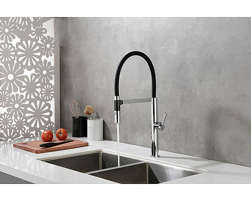 Купить Смеситель для кухни Paulmark Leader Le214101-CR Хром в магазине сантехники Santeh-Crystal.ru