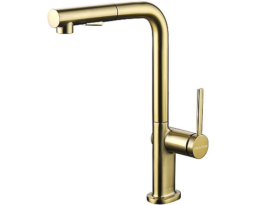 Заказать Смеситель для кухни Paulmark Neo Ne214419-BG Брашированное золото в магазине сантехники Santeh-Crystal.ru