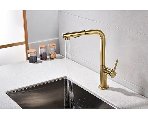 Заказать Смеситель для кухни Paulmark Neo Ne214419-BG Брашированное золото в магазине сантехники Santeh-Crystal.ru