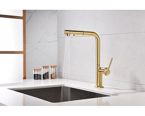 Заказать Смеситель для кухни Paulmark Neo Ne214419-BG Брашированное золото в магазине сантехники Santeh-Crystal.ru